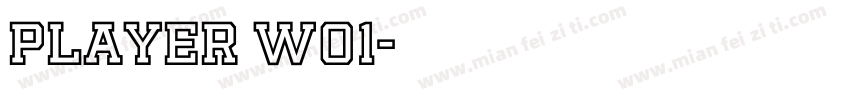 player w01字体转换